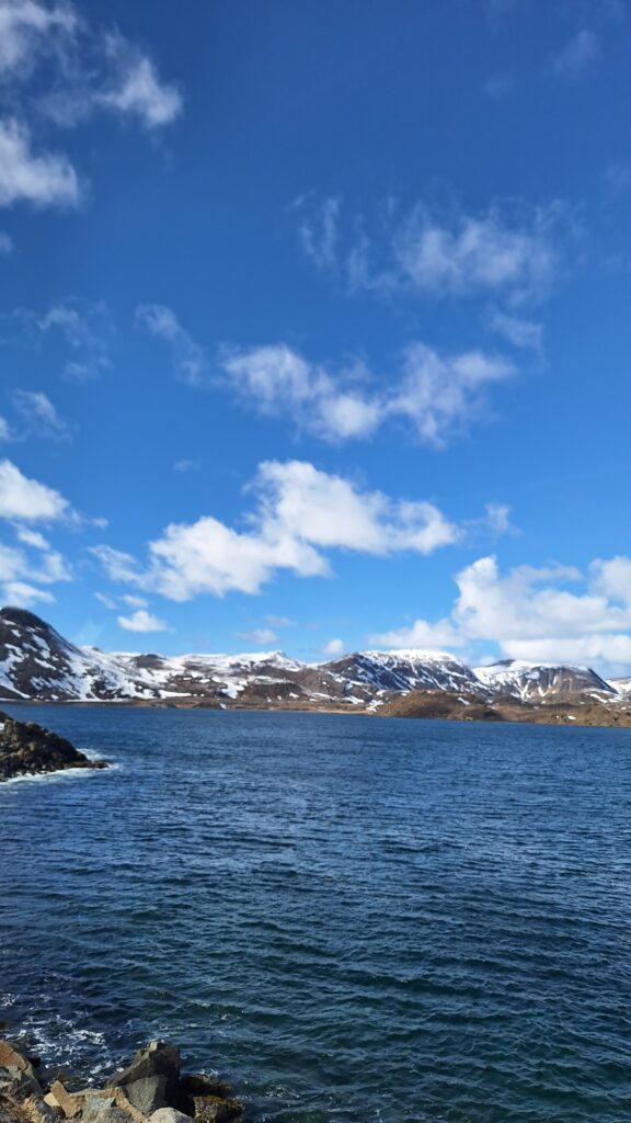 Noordkaap-toendra-MSC-cruise-2024